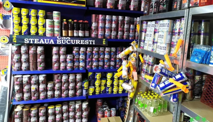 Nanaconstruct Impex Srl Interior - Nana