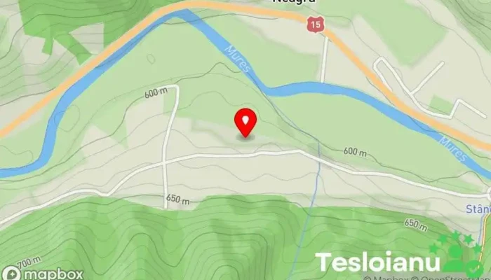 hartă a Neagra  în Neagra