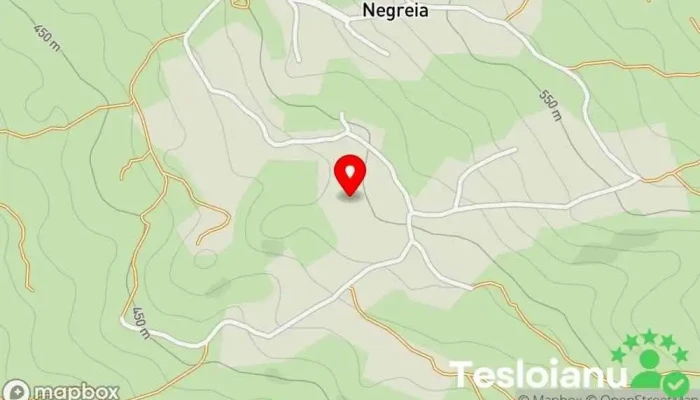 hartă a Negreia  în Negreia