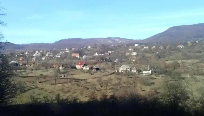 Negreia -  Zonă - Negreia