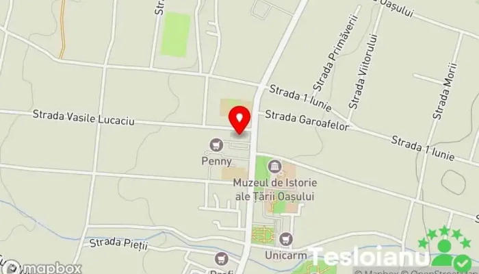 hartă a Negrești-Oaș  în Negrești-Oaș