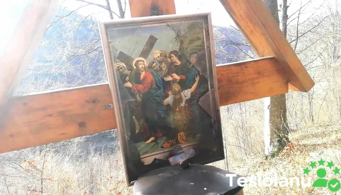 Negru Voda Videoclipuri - Negru Vodă