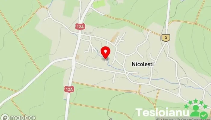 hartă a Nicolești  în Nicolești