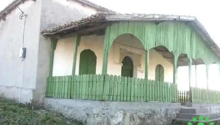Nisipari - Nisipari