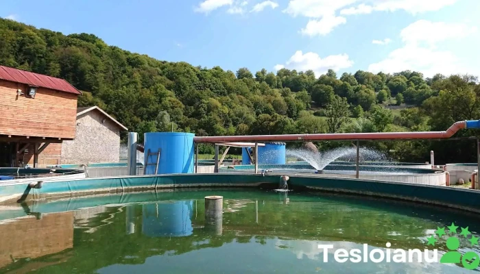 Novarainvest -    Pastravaria Rosia Bihor Balta - Roșia