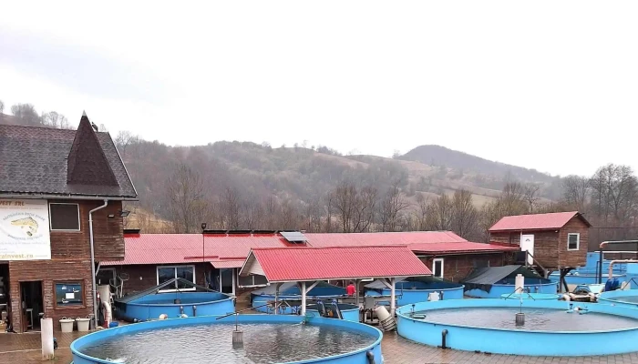 Novarainvest -    Pastravaria Rosia Bihor Roșia - Roșia