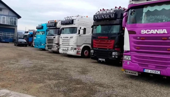Nunucu Transporte -  Autobuz - Milișăuți