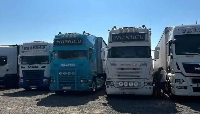 Nunucu Transporte - Milișăuți