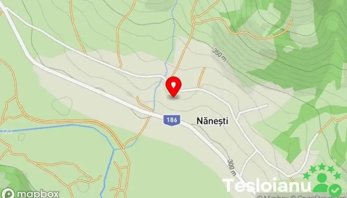 Nănești - Nănești