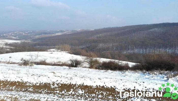 Oarda de Sus - România
