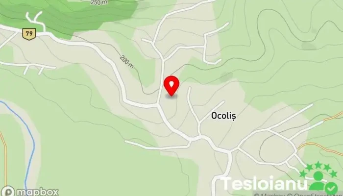 hartă a Ocoliș  în Ocoliș