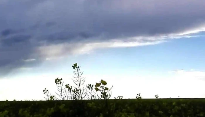 Oras Corabia Videoclipuri - Romania