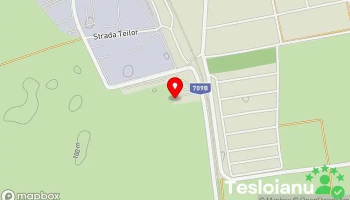 hartă a Oraş Curtici  în 