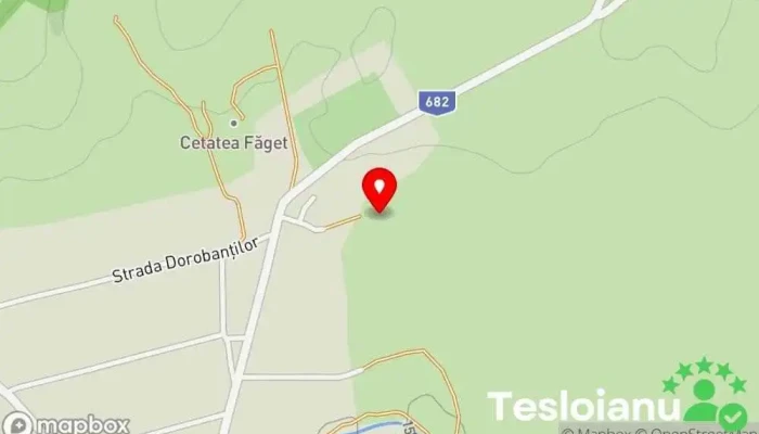 hartă a Oraş Făget  în 
