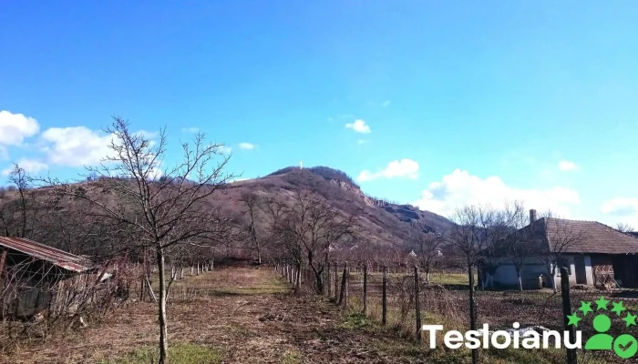 Oras Seini Munte - Romania