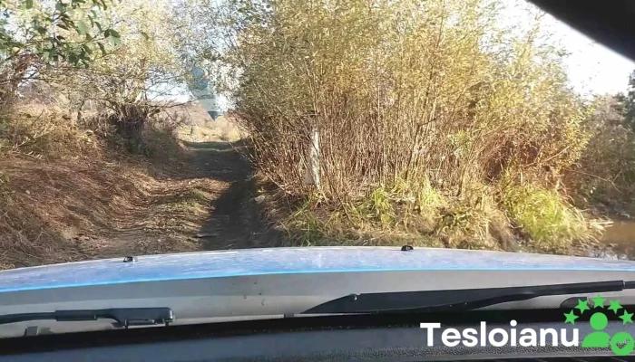 Oras Targu Lapus Videoclipuri - Romania