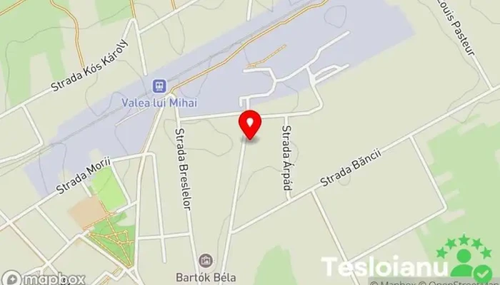 hartă a Oraş Valea Lui Mihai  în 