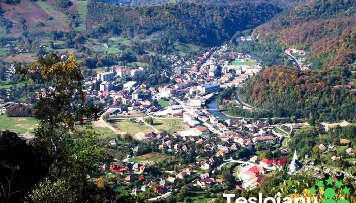 Oraş Baia De Arieş - Romania
