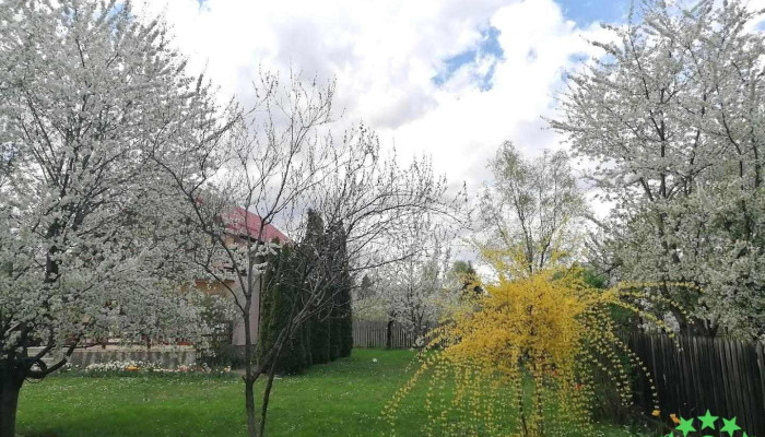 Oraş Breaza - Romania