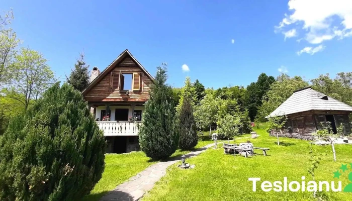Oraş Târgu Lăpuş - Romania