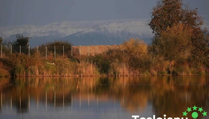 Orlat Lake -  Munte - Sibiu