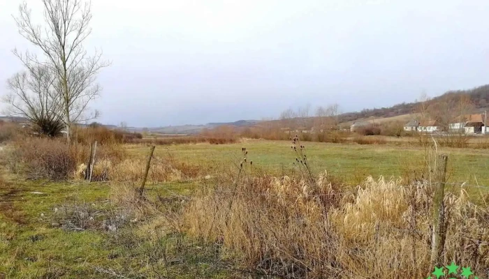 Orţiţa - Orţiţa