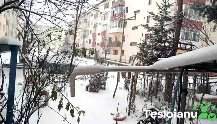 Otelu Rosu Videoclipuri - Oțelu Roșu