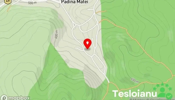 hartă a Padina Matei  în Padina Matei