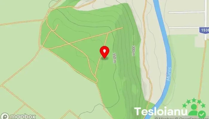 hartă a Pădure Aţintiş Woods în 
