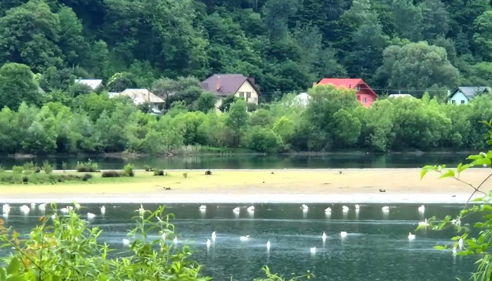 Pangarati Aproape De Mine - Romania