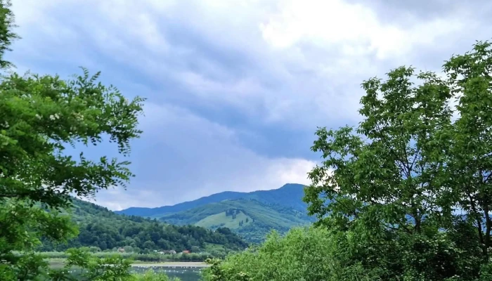 Pangarati Comentarii - Romania