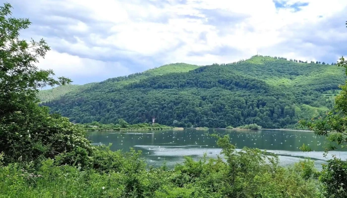 Pangarati Fotografii - Romania