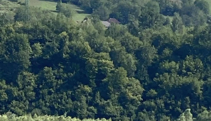 Pangarati Scor - Romania
