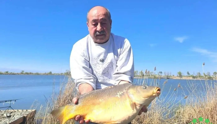 Panorama Lake - Moftinu Mic - Moftinu Mic