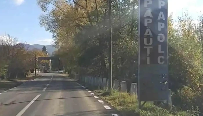 Papauti Videoclipuri - Păpăuţi