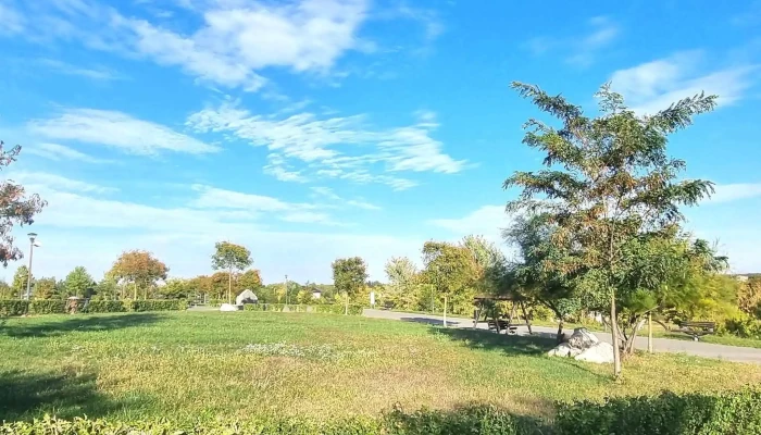 Parcul Dintre Flori -  Promoție - Buftea