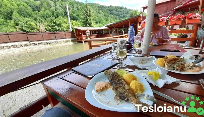 Pastravaria Bistra Muresului -  Mancaruribauturi - Bistra Mureşului