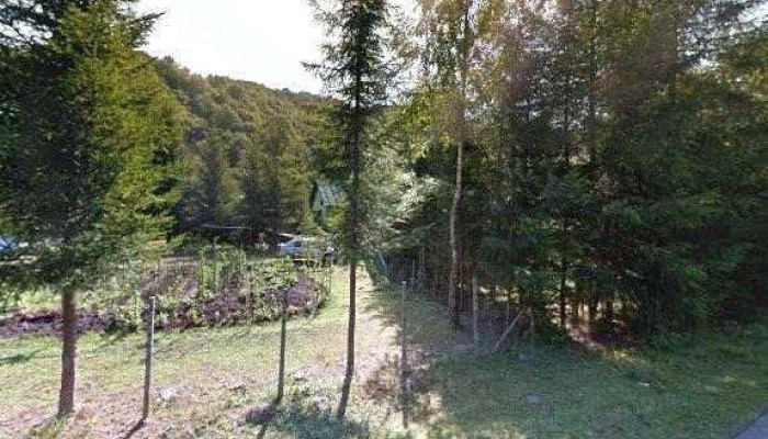 Pastravaria Bistra Muresului -  Street View Si 360deg - Bistra Mureşului