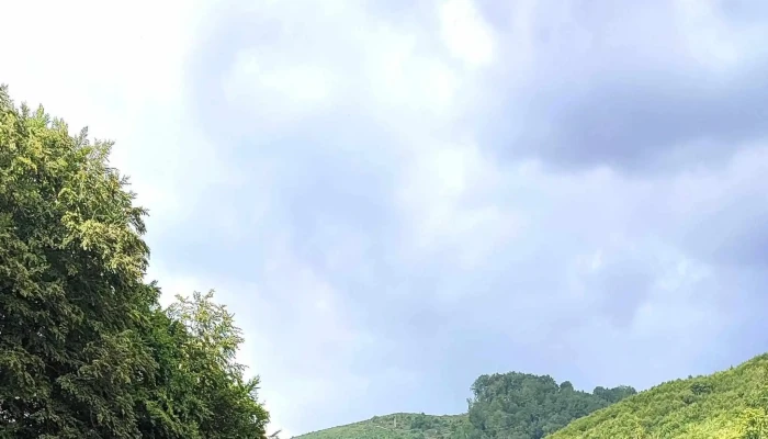 Pastravaria Bistra Muresului -  Unde - Bistra Mureşului