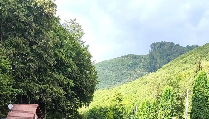 Pastravaria Bistra Muresului -  Videoclipuri - Bistra Mureşului