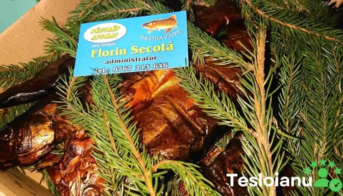 Pastravaria Tismana -   Secota Scor - Tismana