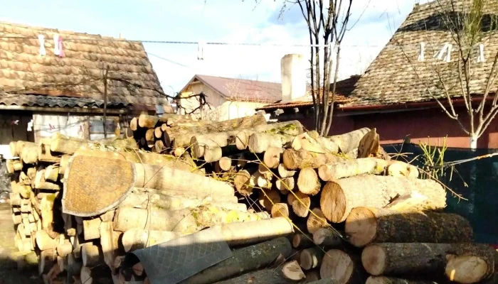 Pcav Stihl Pecica -  Adresă - Pecica
