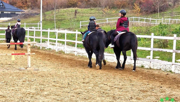 Pe Cai La Mitoc -  Dresaj - Suceava