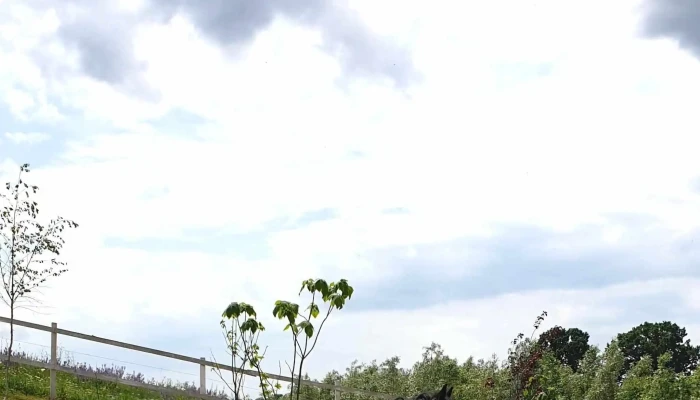 Pe Cai La Mitoc -  Promoție - Suceava