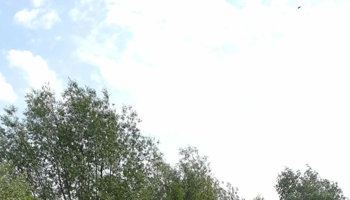 Pe Cai La Mitoc -  Scor - Suceava