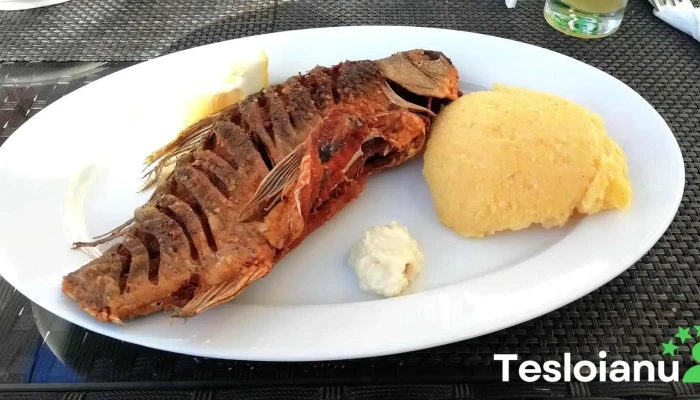 Pensiune Restaurant Lotca -  Polenta - Jurilovca