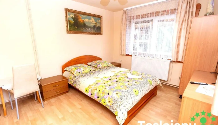 Pensiunea Ancuta Mocanita Maramures Camere - Vișeu De Sus