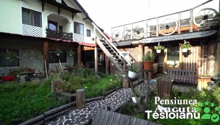 Pensiunea Ancuta Mocanita Maramures Exterior - Vișeu De Sus