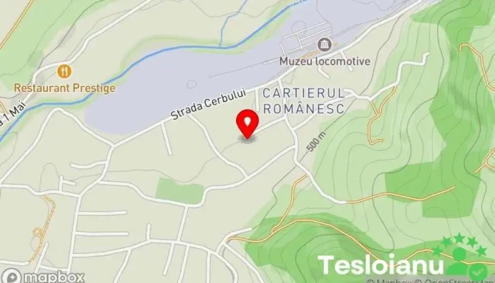 hartă a Pensiunea Ancuţa Mocanita Maramures Pensiune, Bed & Breakfast în Vișeu de Sus