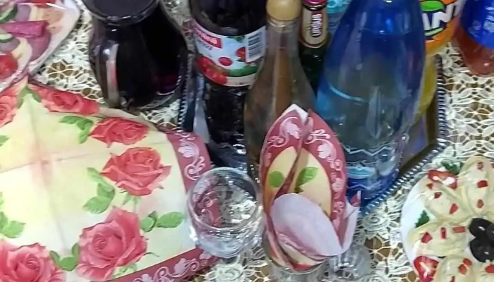Pensiunea Casa Iulia -  Videoclipuri - Poienile Izei